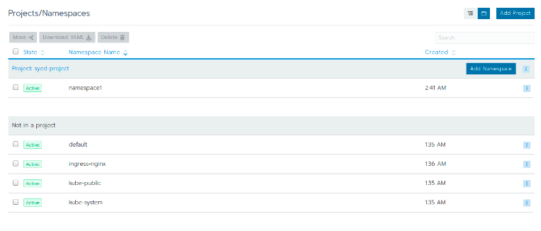 Project/Namespace View